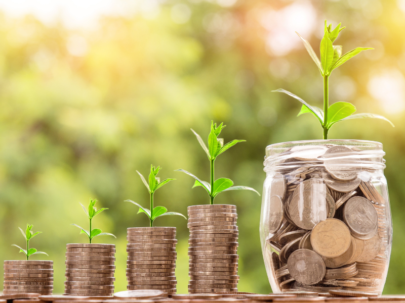 plants growing from stacks of coins 